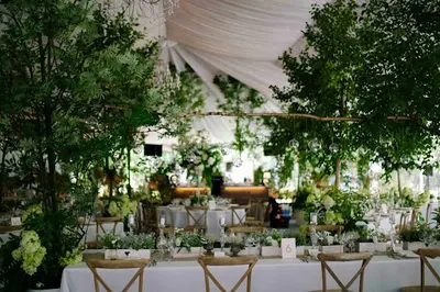 Aspire. Kompleksowa organizacja ślubów i wesel